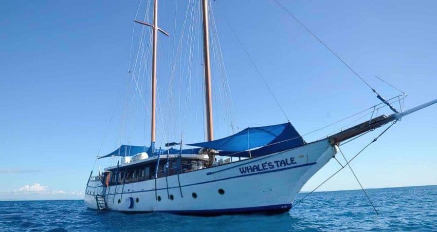 destacada27