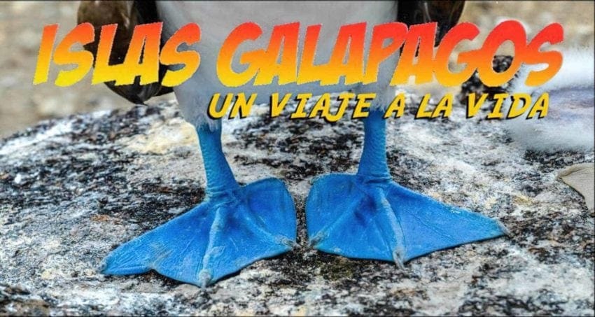 destacadavideo