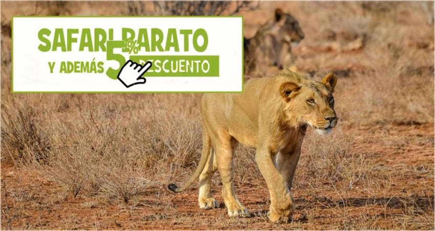 safaribarato