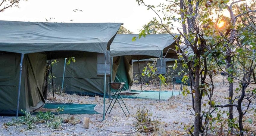 destacadacampamentobotswana