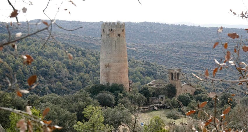 destacadotorrevallferosa