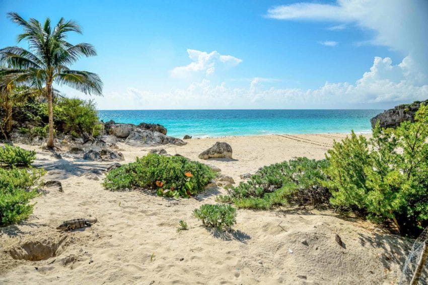 destacadarivieramaya