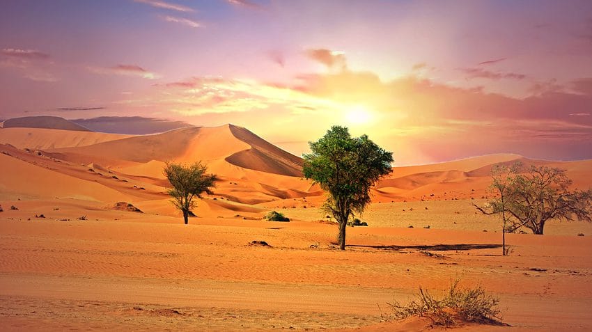 namibiaSemanaSanta_destacada