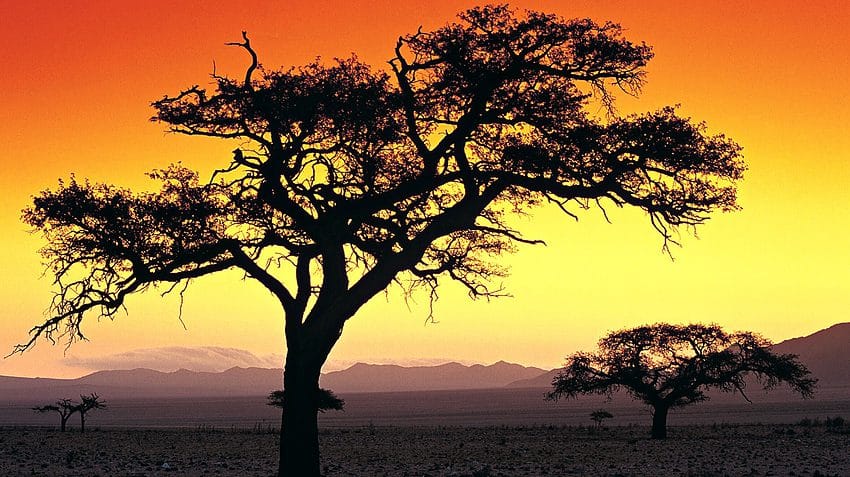 preguntasNamibia_destacada