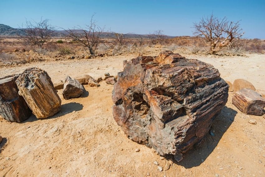 La Costa de los Esqueletos (y petroglifos de Twyfelfontein) 30 costaesqueletos12