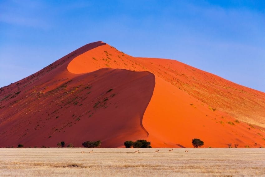 Desierto del Namib: Sossusvlei, Deadvlei, Duna45 y Sesriem 8 desiertonamib08