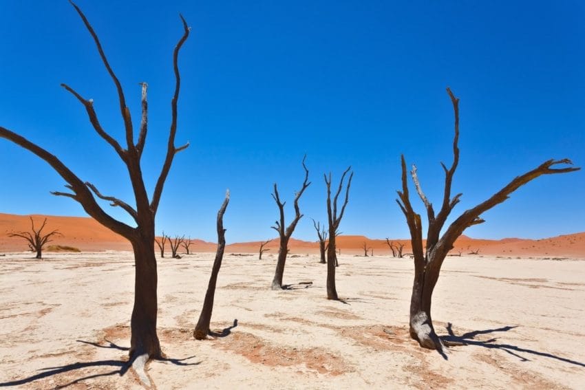 Desierto del Namib: Sossusvlei, Deadvlei, Duna45 y Sesriem 6 desiertonamib10
