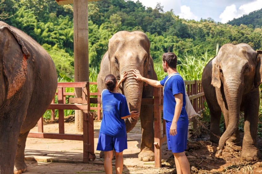 Imprescindibles qué ver en Chiang Mai en 3 o 4 días (+MAPA) 15 queverchiangmai36