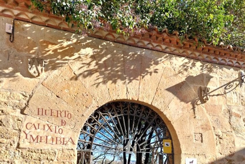 Qué ver en Salamanca: 15 IMPRESCINDIBLES, ruta y mapa 16 queversalamanca52