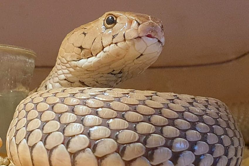 Qué ver en Swakopmund (y el Valle Lunar de una planta ET) 82 queverswakopmund36