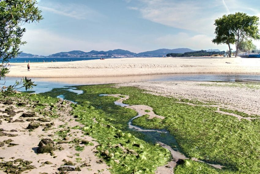 Qué ver en Vigo (y alrededores): 11 IMPRESCINDIBLES y MAPA 52 quevervigo45