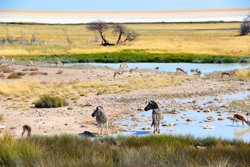 Tribu Himba, la última etnia nómada de Namibia 8 tribuhimba16