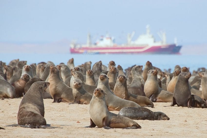 Walvis Bay y Sandwich Harbour, el escenario de dunas y mar 31 walvisbay06