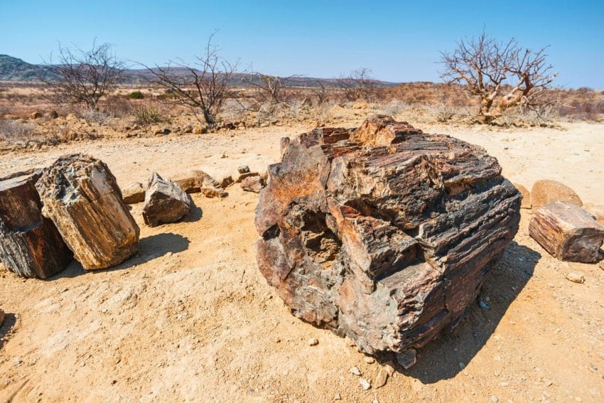 Damara Mopane Lodge entre Twyfelfontein y Ethosa, opinión 19 damaramopanelodge10