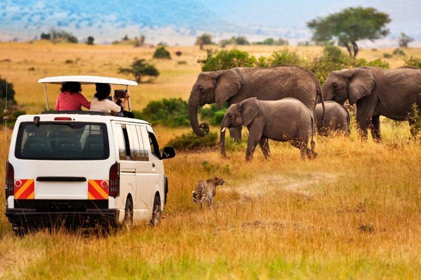 Etosha King Nehale, opinión de un hotel de diseño (al norte) 32 etoshakingnehale14