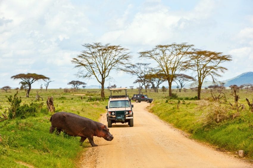 Etosha Safari Camp, opinión de un paraíso al sur del parque 31 etoshasafaricamp16