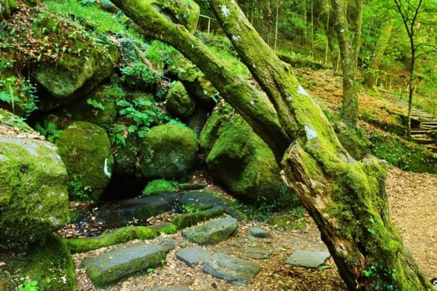 Qué ver en la Ribeira Sacra (imprescindibles con mapa detallado) 11 queverenribeirasacra11