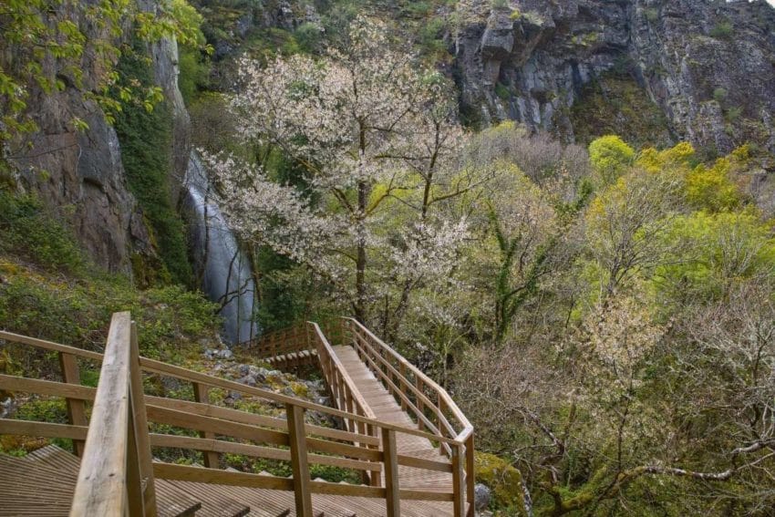 Qué ver en la Ribeira Sacra (imprescindibles con mapa detallado) 28 queverenribeirasacra37