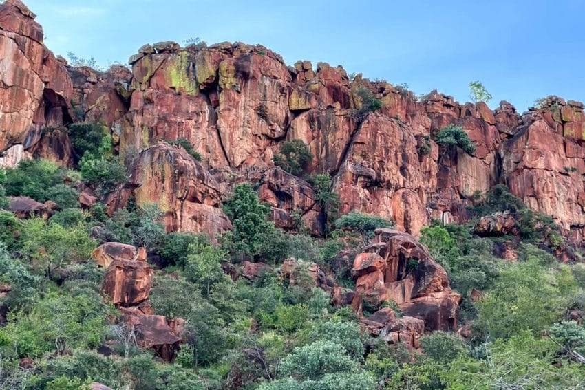 P.N. Waterberg, una joya donde ver rinocerontes en Namibia 6 d12-12