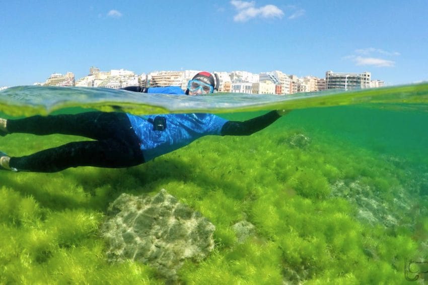 Las 7 mejores experiencias que hacer en Gran Canaria 11 quehacerengrancanaria15