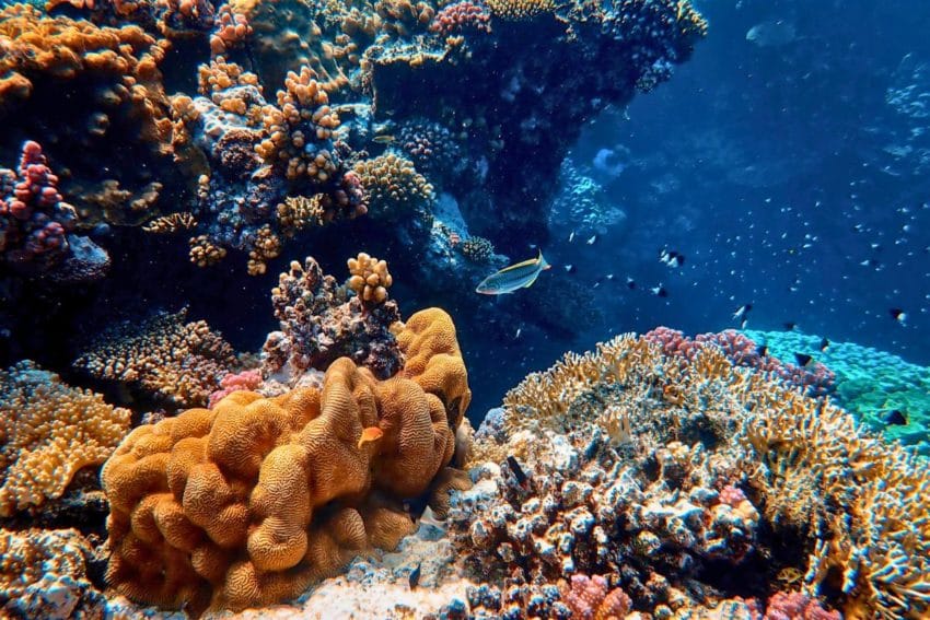 11 cosas que hacer en Menorca .. sin pisar la playa 70 quehacerenmenorca56