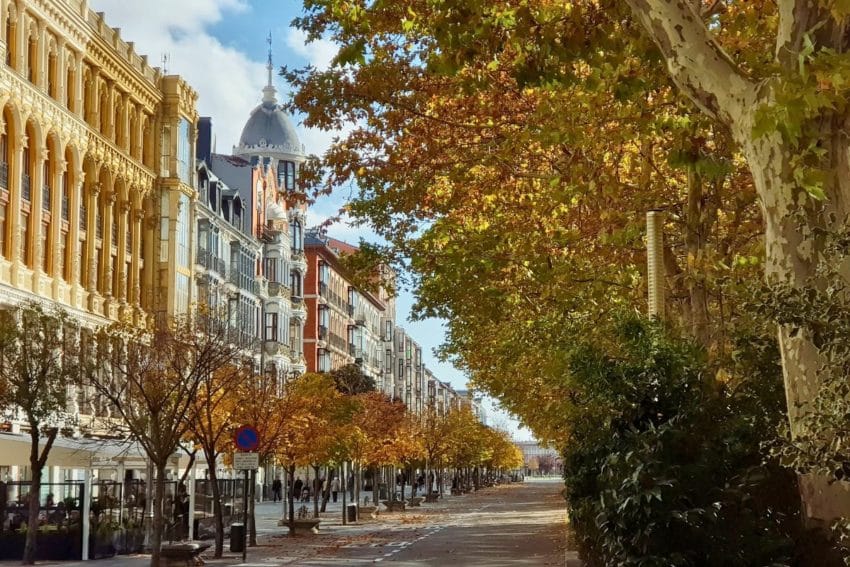 Qué ver en Valladolid (ruta de imprescindibles con mapa) 12 queverenvalladolid16