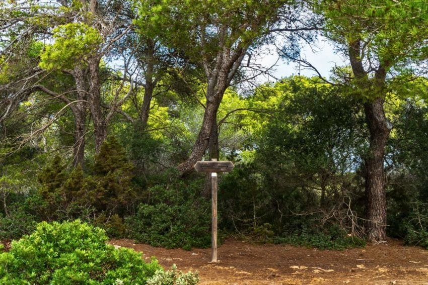 11 imprescindibles que ver, hacer (y comer) en Menorca 7 quevermenorca03