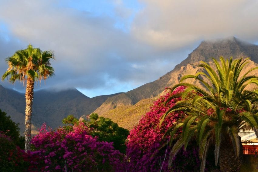 11 imprescindibles que ver, hacer (y comer) en Tenerife 44 tenerife17