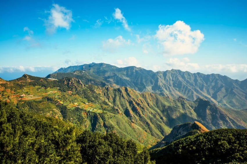 11 imprescindibles que ver, hacer (y comer) en Tenerife 43 tenerife18