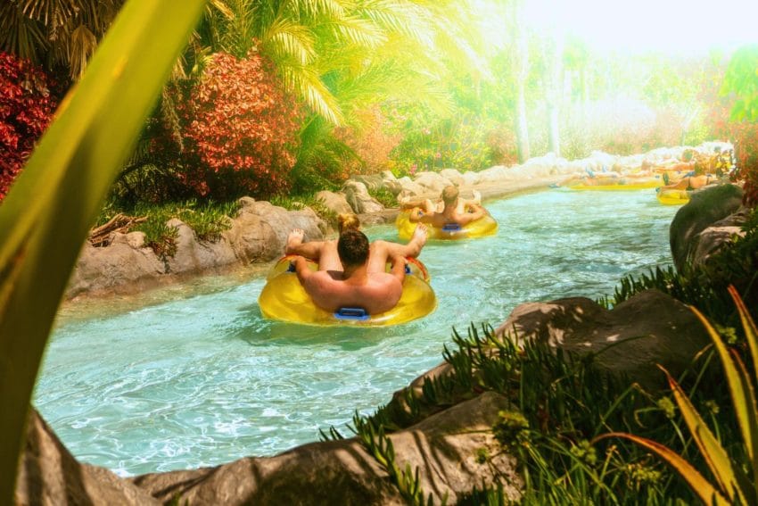 11 imprescindibles que ver, hacer (y comer) en Tenerife 16 tenerife20