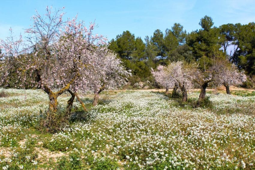 Ruta en coche por Terres de Lleida, la gran olvidada (con mapa) 7 terresdelleida48