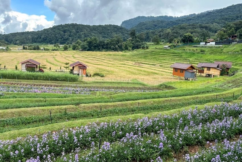 Excursión a Doi Inthanon desde Chiang Mai, experiencia REAL 7 d12-52