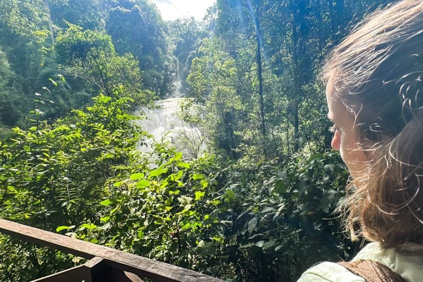 Excursión a Doi Inthanon desde Chiang Mai, experiencia REAL 8 d12-61