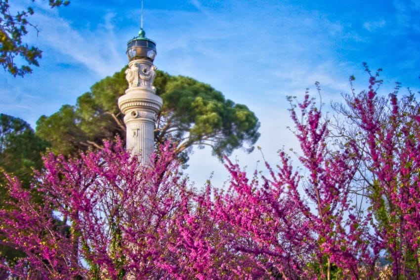 Dónde alojarse en Roma: MEJORES ZONAS y hoteles 55 dondealojarseenroma46