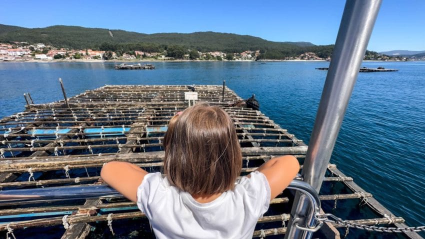 destacadabarcomejillones