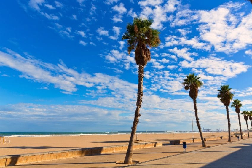 Qué ver en Valencia: 23 IMPRESCINDIBLES, ruta y mapa 110 queverenvalencia111