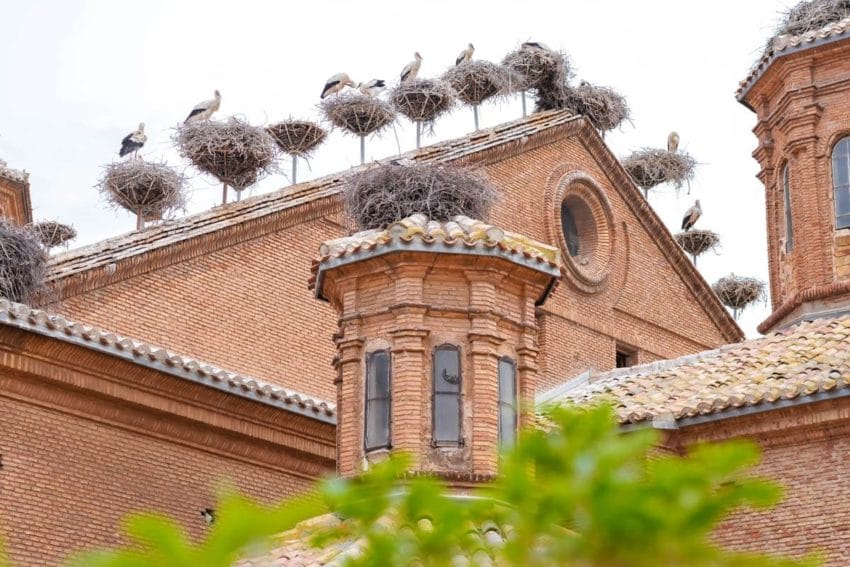 Qué ver en Alfaro, capital de la cigüeña blanca en La Rioja 8 larioja2023-106