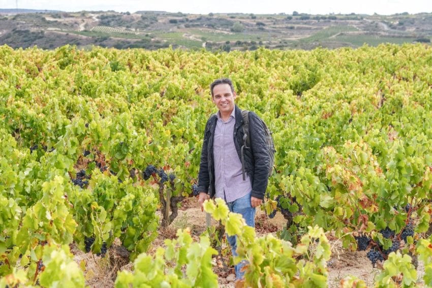 Qué ver en Alfaro, capital de la cigüeña blanca en La Rioja 31 larioja247
