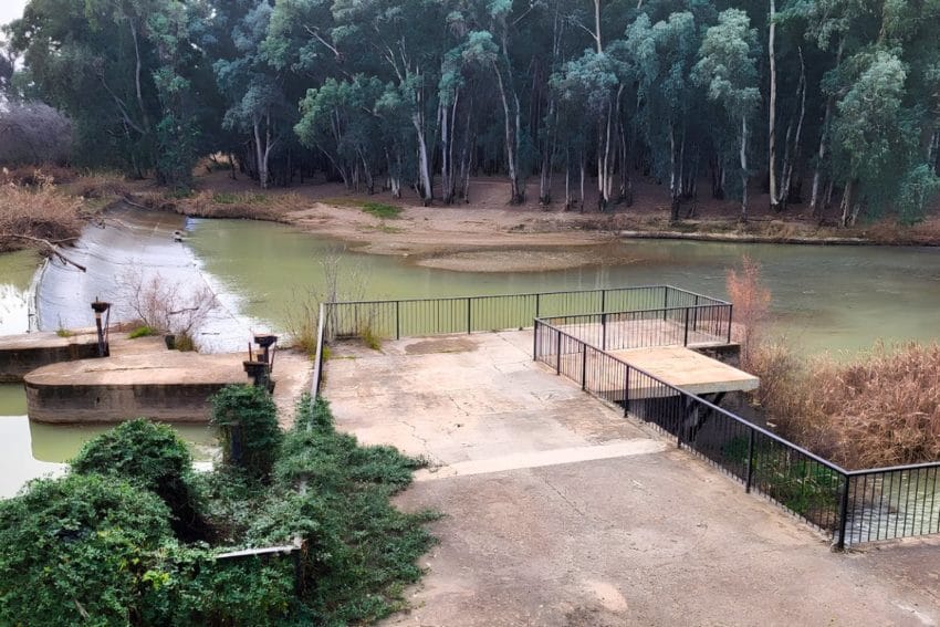 Palma del Río, la ciudad jardín entre el Guadalquivir y el Genil 20 palmadelrio35