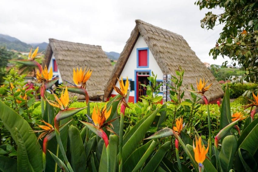 21 imprescindibles que ver, hacer (y comer) en Madeira 16 queverenmadeira24