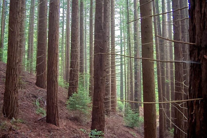 21 lugares que ver en Cantabria imprescindibles (Y secretos) 19 queVerEnCantabria37