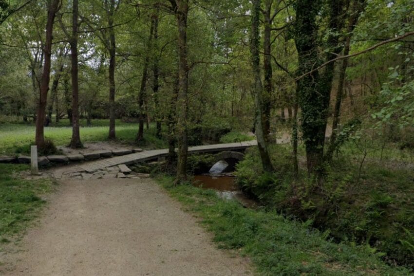 Qué ver en el Camino de Santiago desde Tui: 10 paradas imprescindibles en la ruta 11 caminoDeSantiagoDesdeTui16