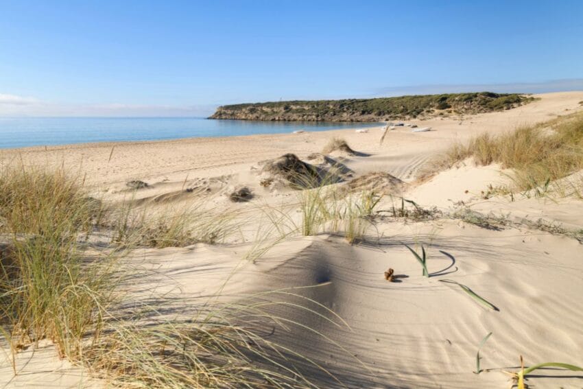 Las 7 mejores playas de Cádiz (deseadas en el Caribe) 5 playasDeCadiz04