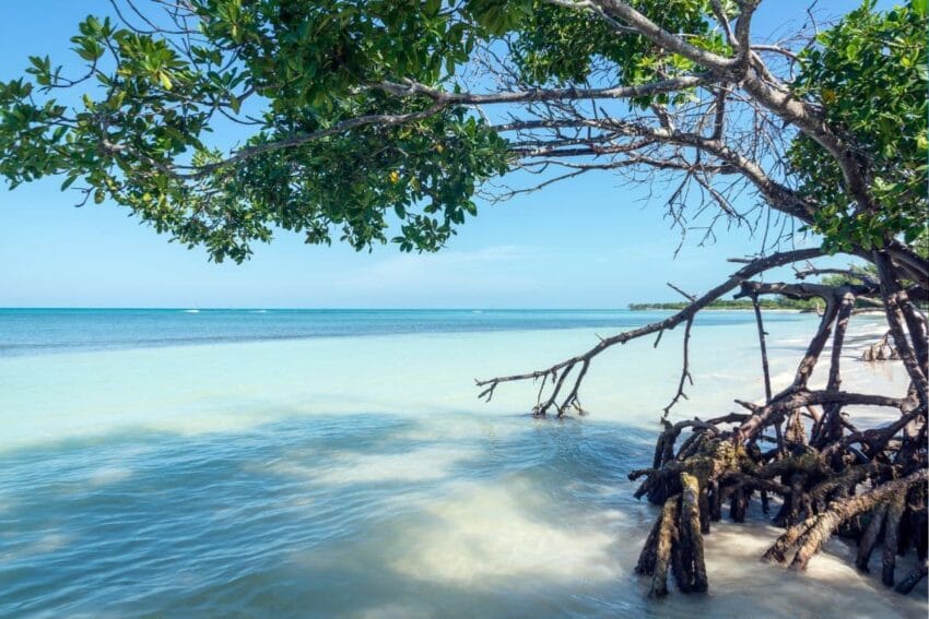 Las 11 mejores playas de Cuba (que parecen piscinas) 11 playasDeCuba10