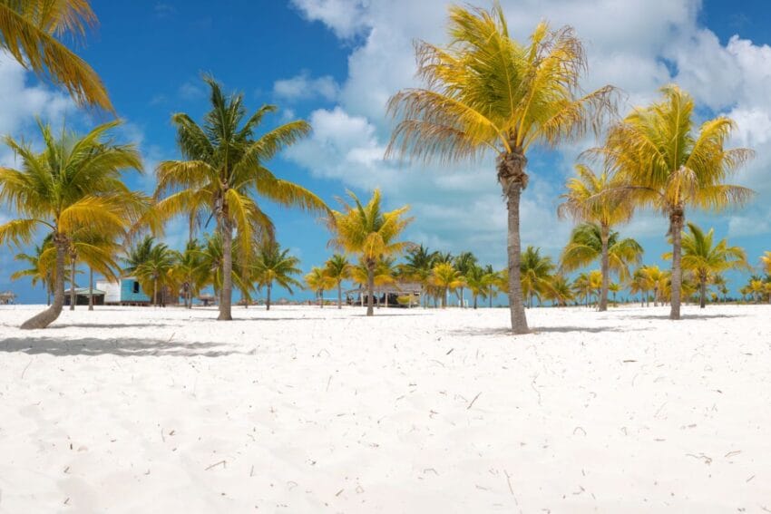 Las 11 mejores playas de Cuba (que parecen piscinas) 47 playasDeCuba13