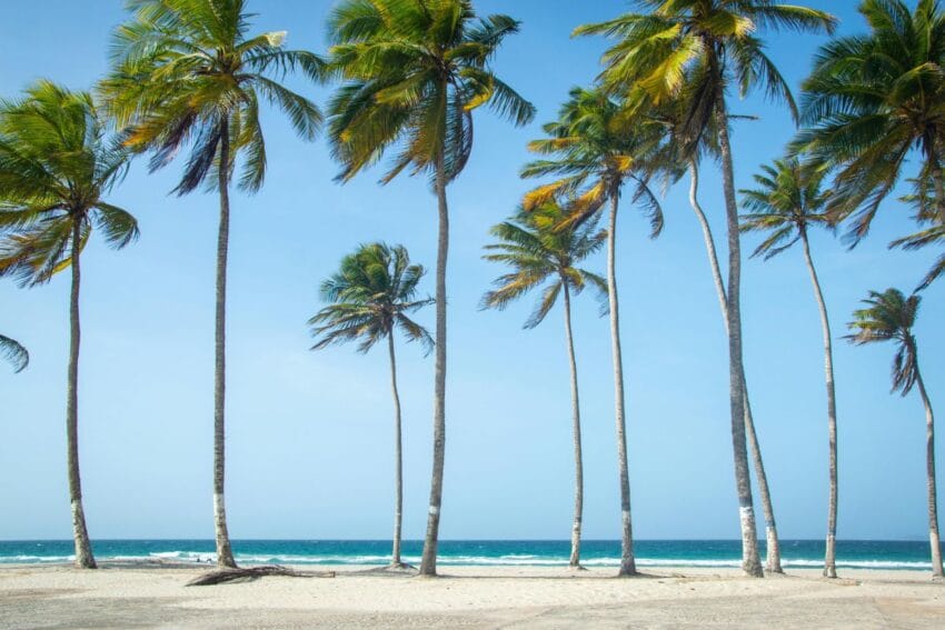 Las 11 mejores playas de Cuba (que parecen piscinas) 51 playasDeCuba17