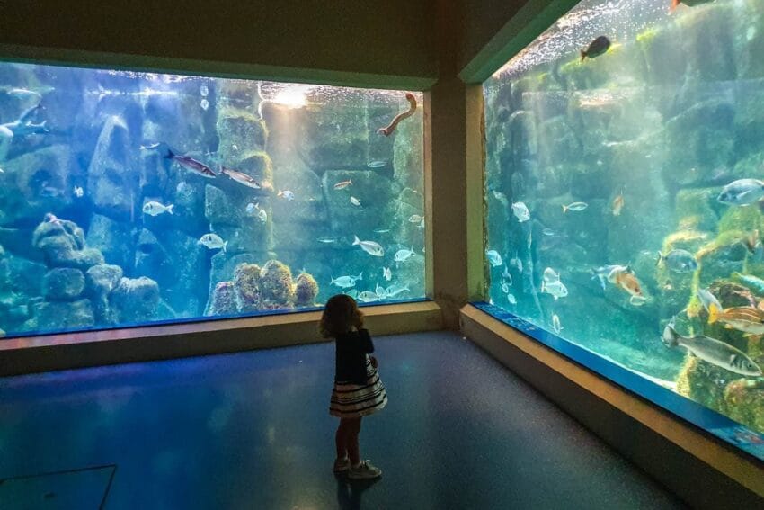 Los 7 mejores museos de A Coruña: GUÍA para elegir el tuyo 7 museosDeACoruna13