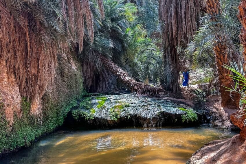 El oasis de Terjit y el palmeral de Mhaireth 8 d04-37