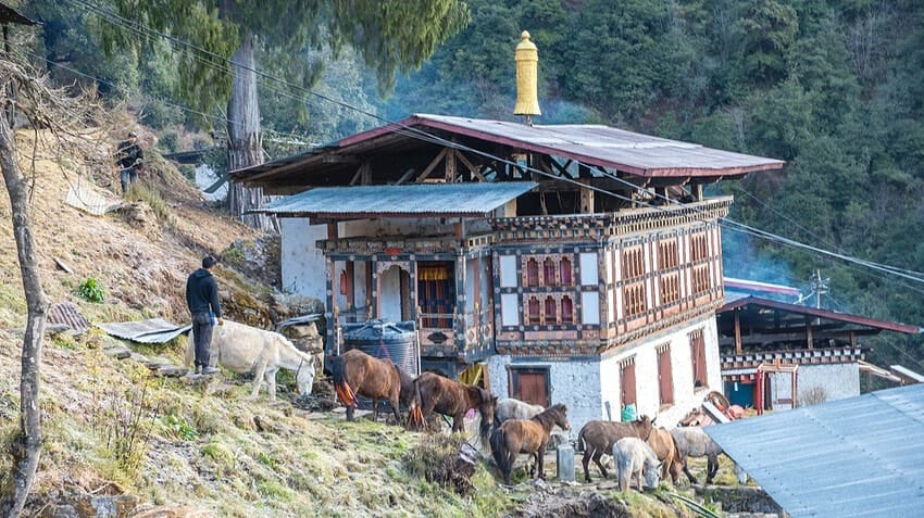destacada05